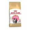 Royal Canin CHAT Persian Kitten 2 Kg