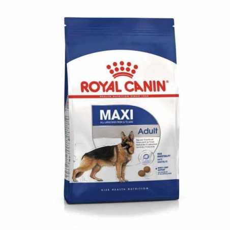 Royal canin CHIEN Maxi Adult 4 Kg