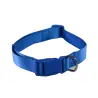 Collier Chien UNI BLEU 1.5 cm