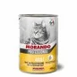 Miglior gatto Professional pâtée poulet & dinde 400 gr Miglior gatto Professional pâtée poulet & dinde 400 gr