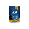 Pochons Brit Premium Saumon et Truite 100g