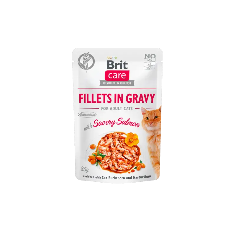 Pochon Brit care chat filet saumon en sauce 85G