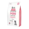 Brit Care Mini Chiot à l'Agneau Sans Céréales 2kg