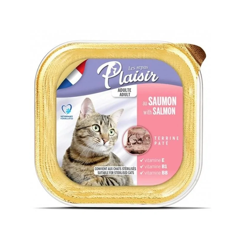 BARQUETTE PLAISIR PATE SAUMON 100 GR