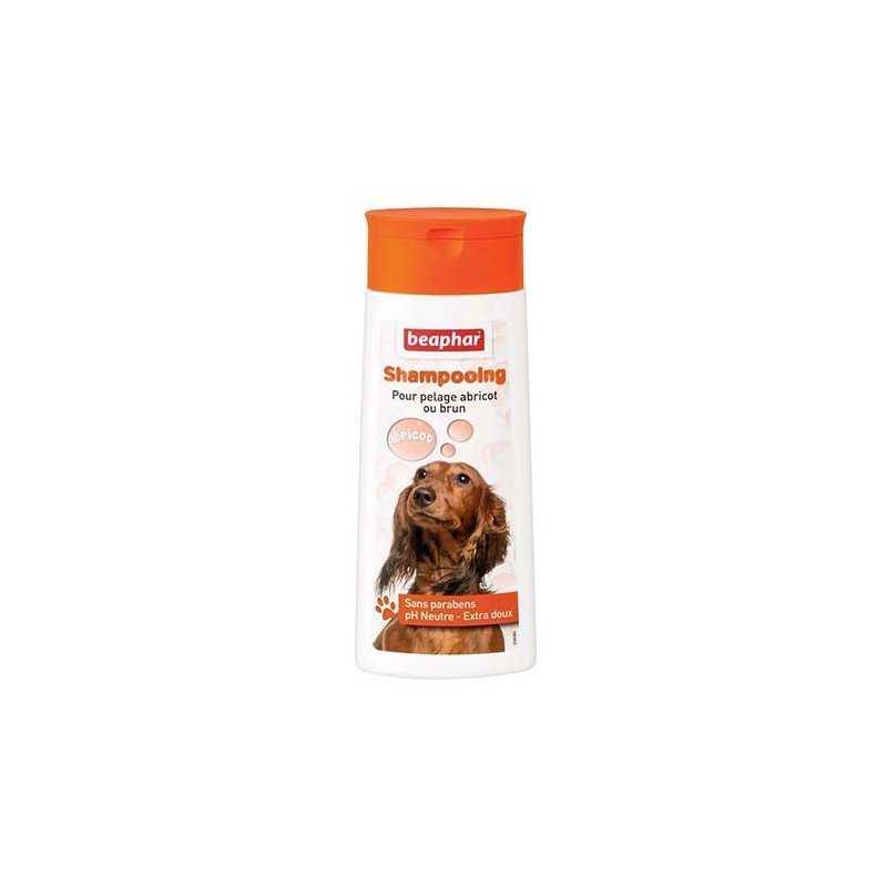 BEAPHAR Shampooing pour chien pelage abricot ou brun