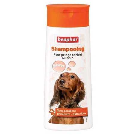BEAPHAR Shampooing pour chien pelage abricot ou brun
