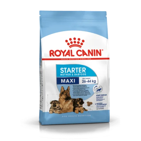 Royal canin CHIEN Maxi Starter mother and baby 4 kg