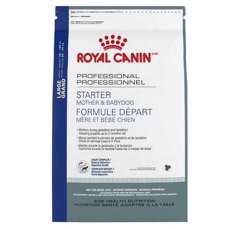 Royal canin CHIEN Maxi Starter mother and baby 4 kg