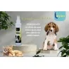 Vanilla Scent parfum 150ml Thaleyon labo - 1
