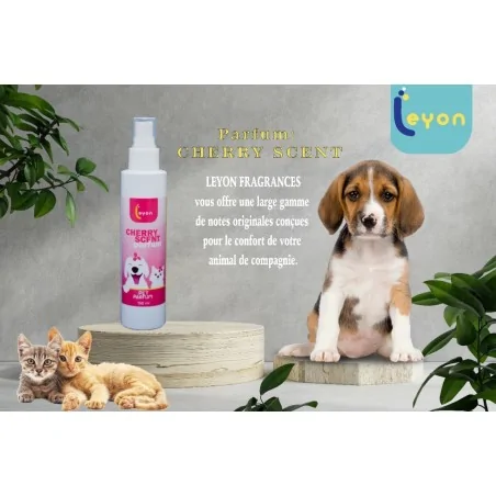 Cherry Scent parfum 150ml