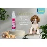 Cherry Scent parfum 150ml Thaleyon labo - 1