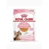 Royal Canin Chat kitten sterilised gravy 85GR ROYAL CANIN - 1