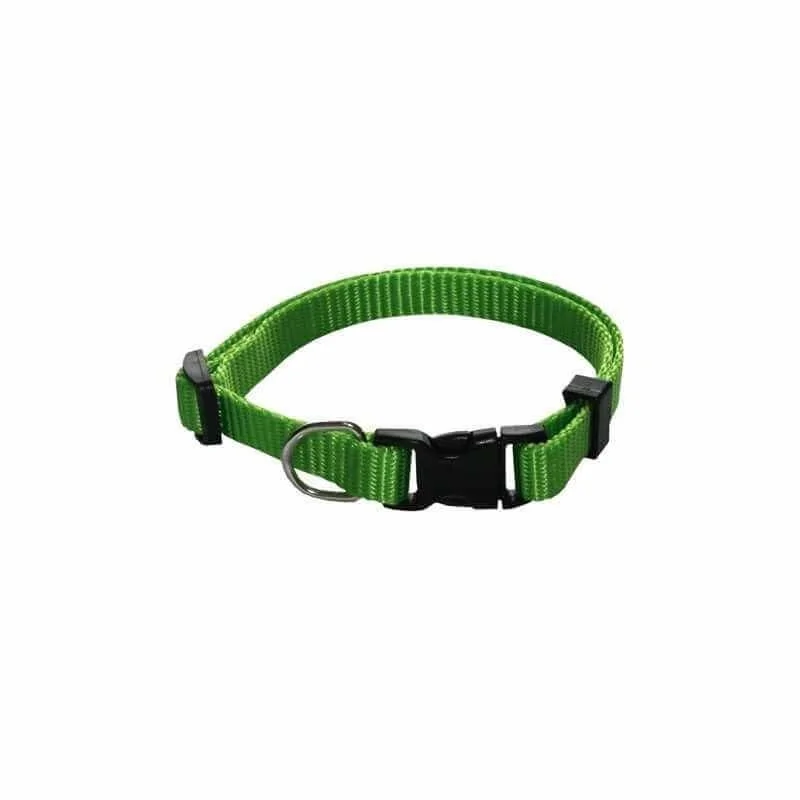 Collier Chien UNI VERT 1 cm