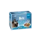 Brit Premium Cat Delicate Fillets in Gravy Dinner Plate 1020 g (12x85 g)