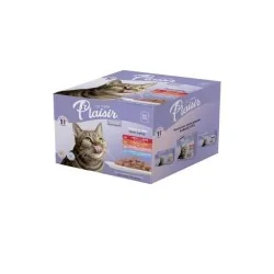Chats-Tunisie