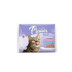 Humides Chat-Tunisie