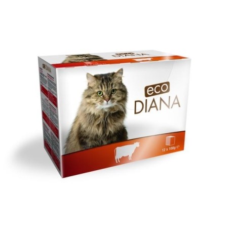 POCHONS ECO DIANA BŒUF 100G