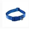 Collier Chien Uni bleu 1 cm Felican - 1