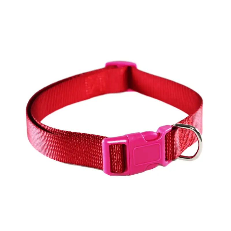 Collier Chien UNI Rouge 1 cm