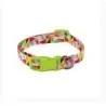 Collier Chien PATTERNS 2 cm Felican - 2