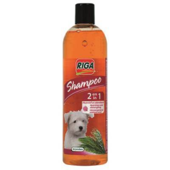 Shampoing Chien-Tunisie