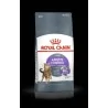 Royal canin Chat Appetite Control Sterilised 2 Kg ROYAL CANIN - 1