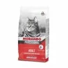 Miglior Gatto Professional Boeuf poulet 2 kg