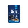 Pochon Brit Premium Poulet pour chaton 100gr