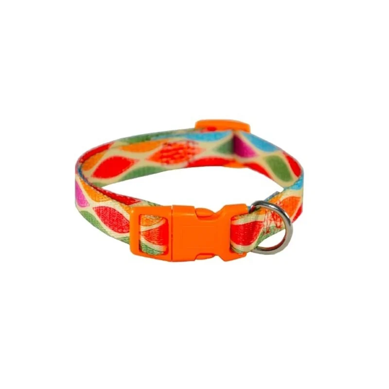 Collier Chien PATTERNS 1,5 cm Felican - 1