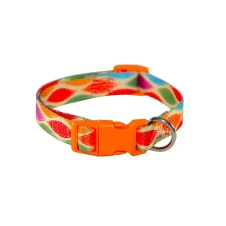 Collier Chien PATTERNS 1,5 cm Felican - 1