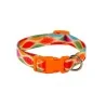 Collier Chien PATTERNS 1,5 cm Felican - 1