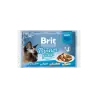 Brit Premium Cat Delicate Fillets in Gravy Dinner Plate 430 g (4x85 g)