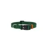 Felican Premiun collier chien UNI Vert 2cm Felican - 1