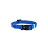 Felican Premiun collier chien UNI Bleu 2cm Felican - 1