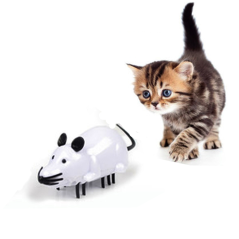 Souris Robot pour chat et chaton