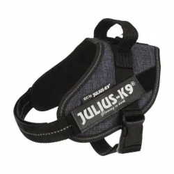 Julius K-9