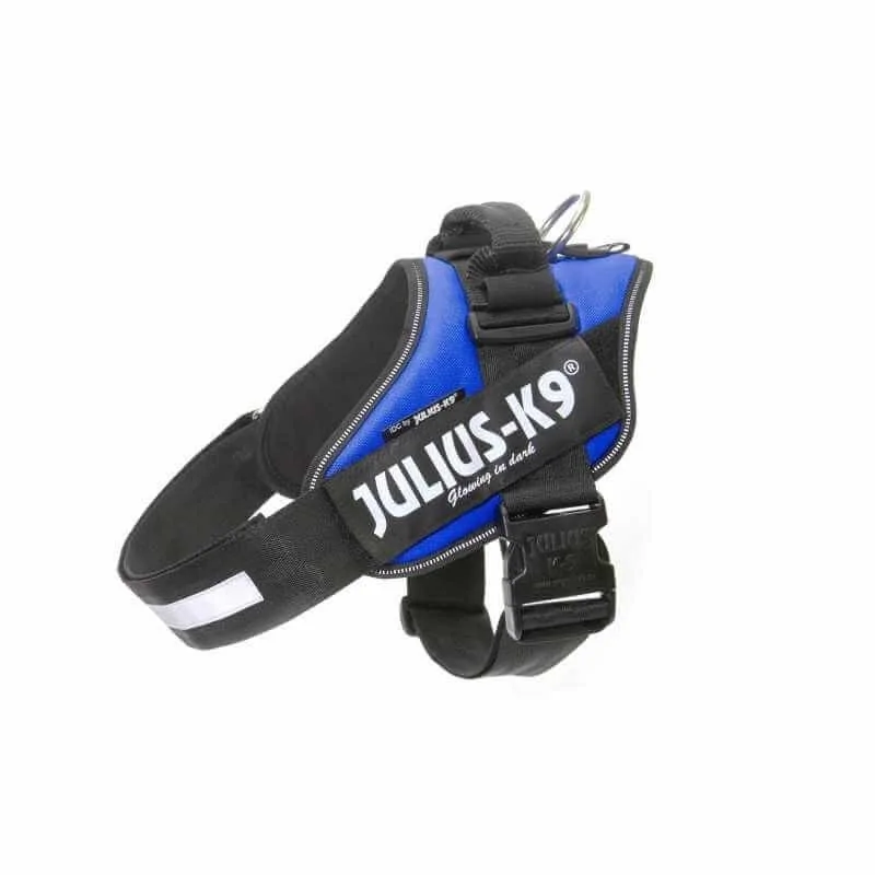 Harnais Julius K-9 IDC-POWER Bleu Size 1 Julius K-9 - 1