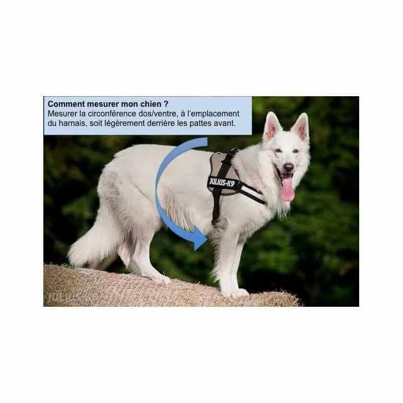 Harnais Julius K-9 IDC-POWER Bleu Size 2 Julius K-9 - 2