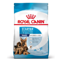 Royal canin CHIEN Maxi Starter mother and baby 15 kg