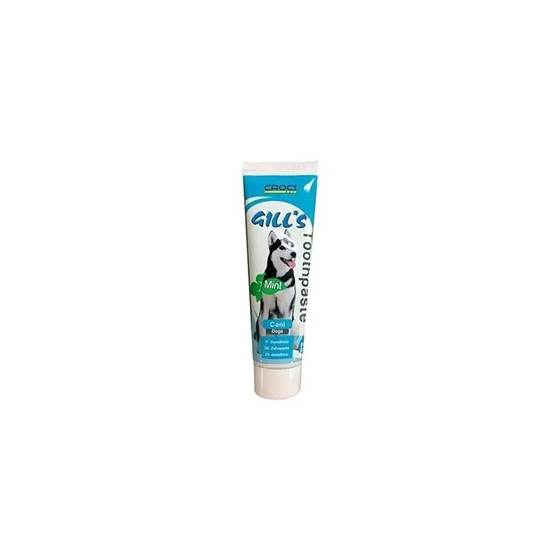 Hygiène Dentaire-GILL'S MINT TOOTH PASTE 100g-Tunisie