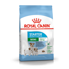 Croquette Chien-Royal canin CHIEN Mini Starter Mother & Babydog pour chiot 4Kg-Tunisie