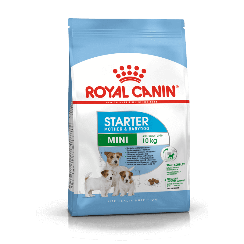 Royal canin CHIEN Mini Starter Mother & Babydog pour chiot 4Kg