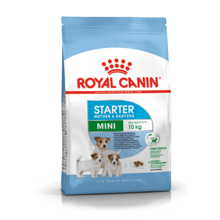 Royal canin CHIEN Mini Starter Mother & Babydog pour chiot 4Kg