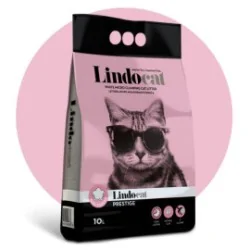 Lindocat