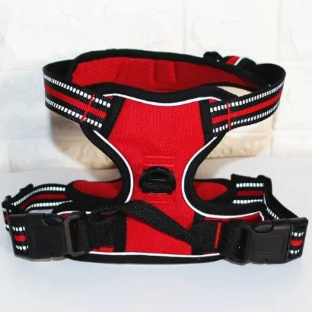 Harnais-Harnais comfort XXL pour Chien-Tunisie