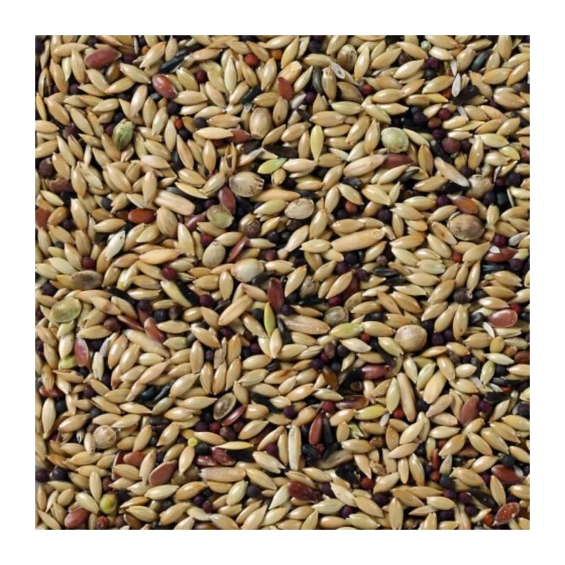 Alimentation Oiseaux-Deli Nature Premium Canaris 1 kg-Tunisie