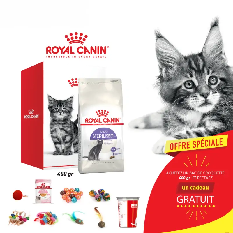 Croquettes Chat-Kit Royal canin CHAT Stérilisé 400 gr + Cadeau Gratuit-Tunisie