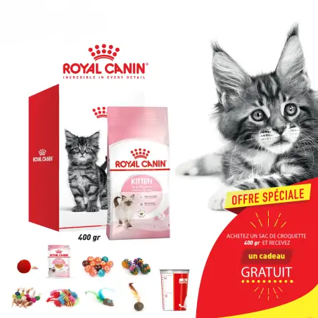 Croquettes Chat-Kit Royal canin CHAT Kitten 400 g + Cadeau Gratuit-Tunisie