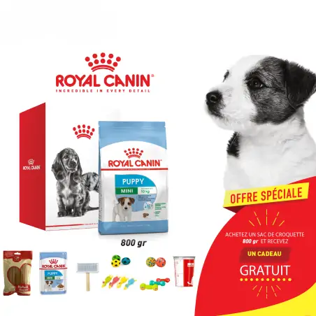 Croquette Chien-Kit Royal canin CHIEN Mini Puppy 800 gr + Cadeau Gratuit-Tunisie