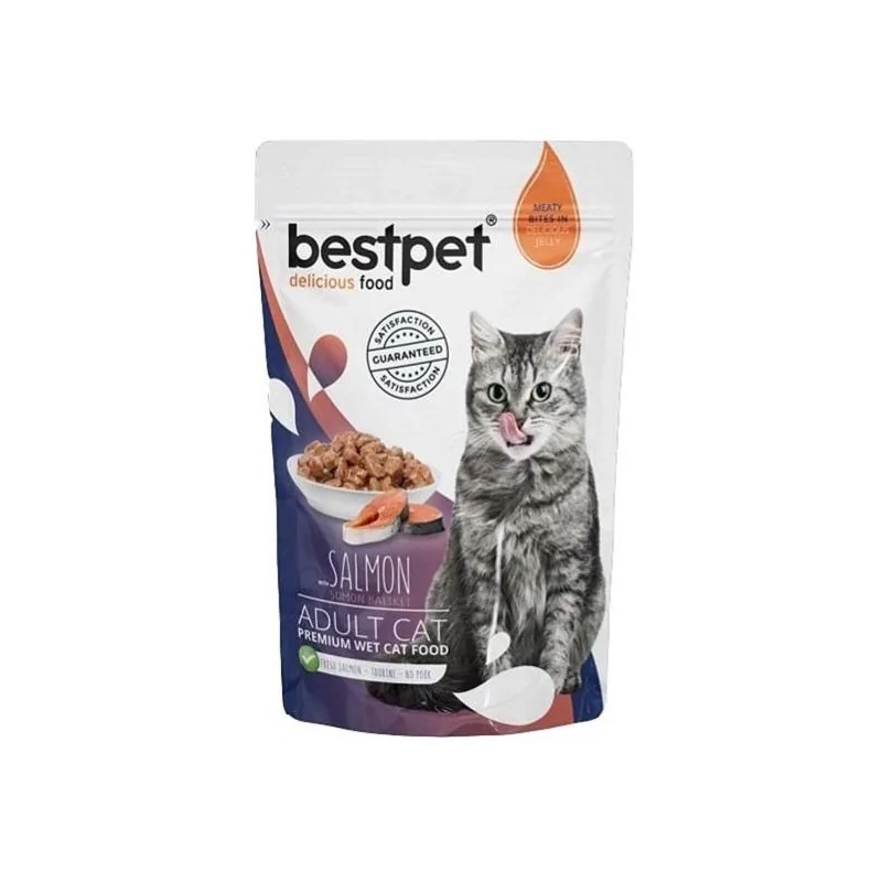 Humides Chat-BESTPET POCHON SALMON 85GR-Tunisie
